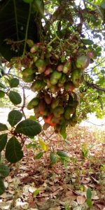 galerie-photo-1 (11)