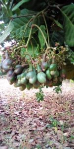 galerie-photo-1 (12)