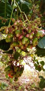 galerie-photo-1 (14)