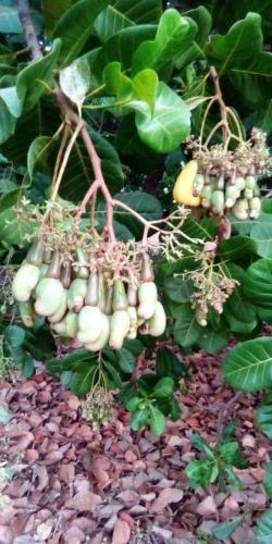 galerie-photo-1 (10)