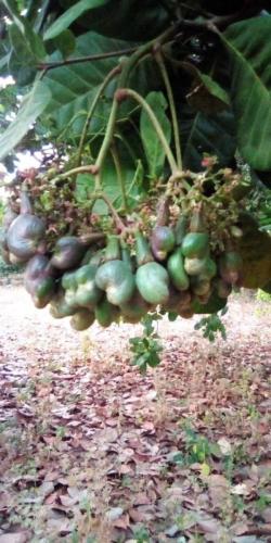 galerie-photo-1 (12)