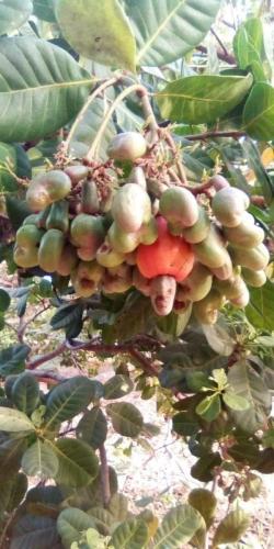 galerie-photo-1 (13)