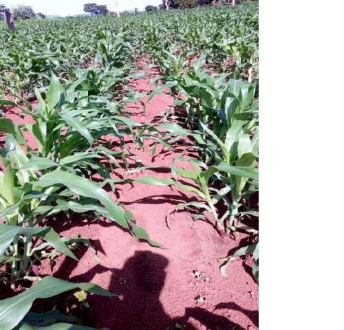 galerie-photo-1 (15)