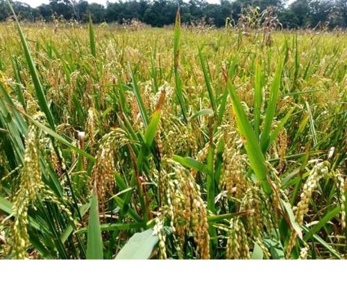 galerie-photo-suite (1)