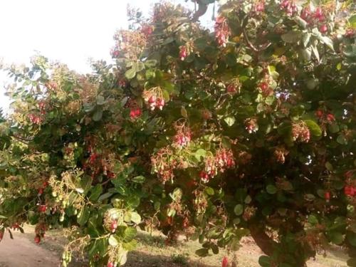 galerie-photo-suite (2)