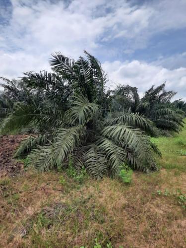 galerie-photo-suite (4)