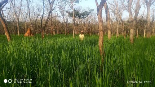 galerie-photo-suite (5)