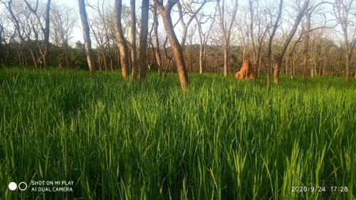 galerie-photo-suite (6)