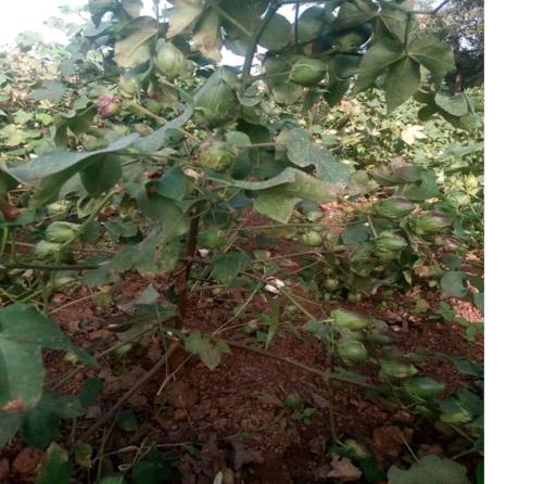 galerie-photo-suite (7)